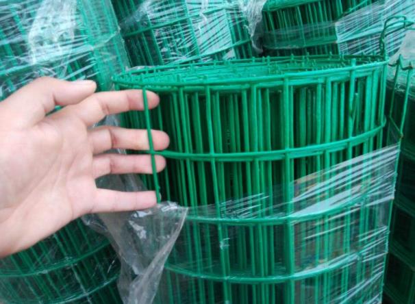 白茅湖农场荷兰网